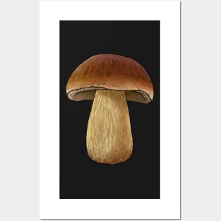 Porcino Mushroom Posters and Art